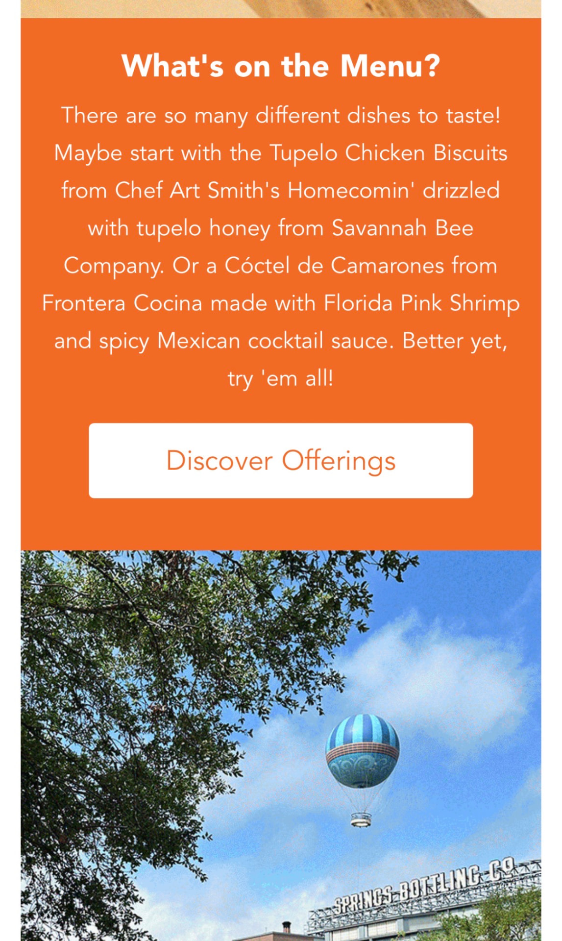 Disney Springs—“Flavors of Florida” email panel 3