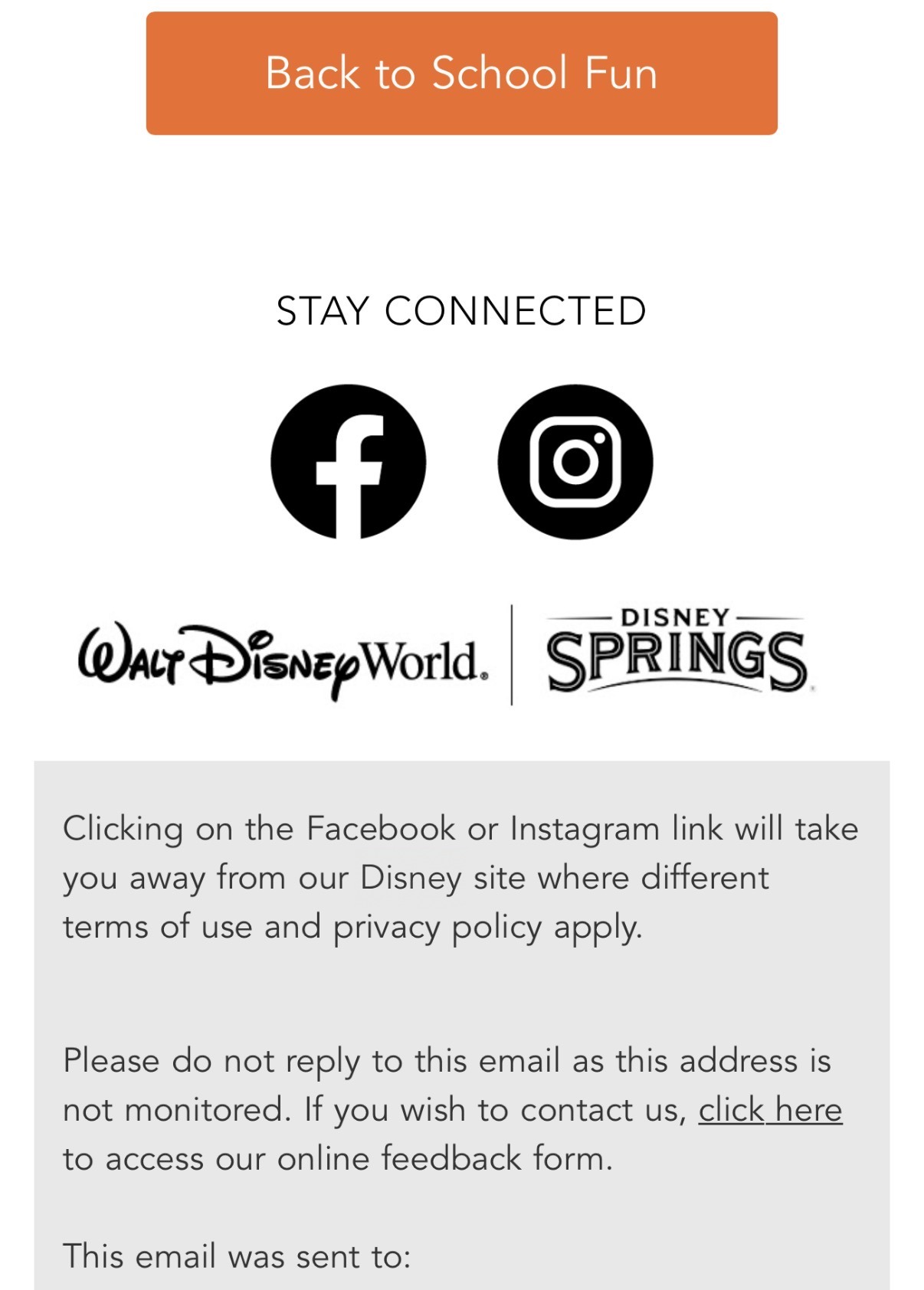 Disney Springs—“Flavors of Florida” email panel 4